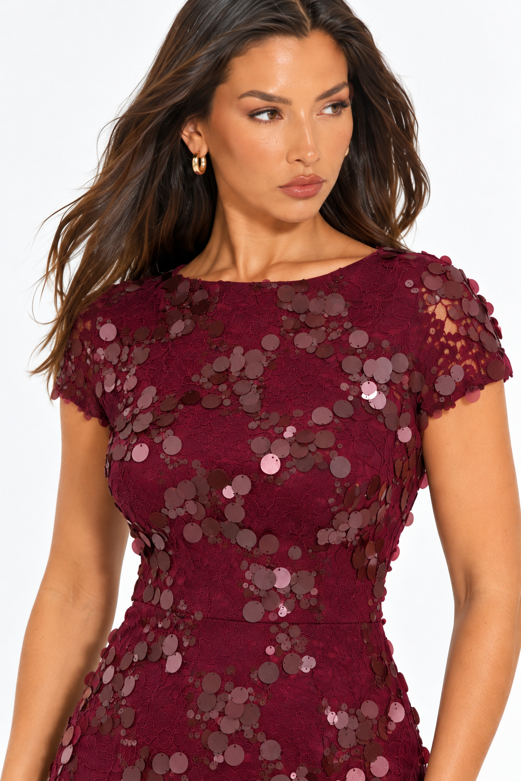 Brianna Burgundy Sequin Lace Maxi Dress
