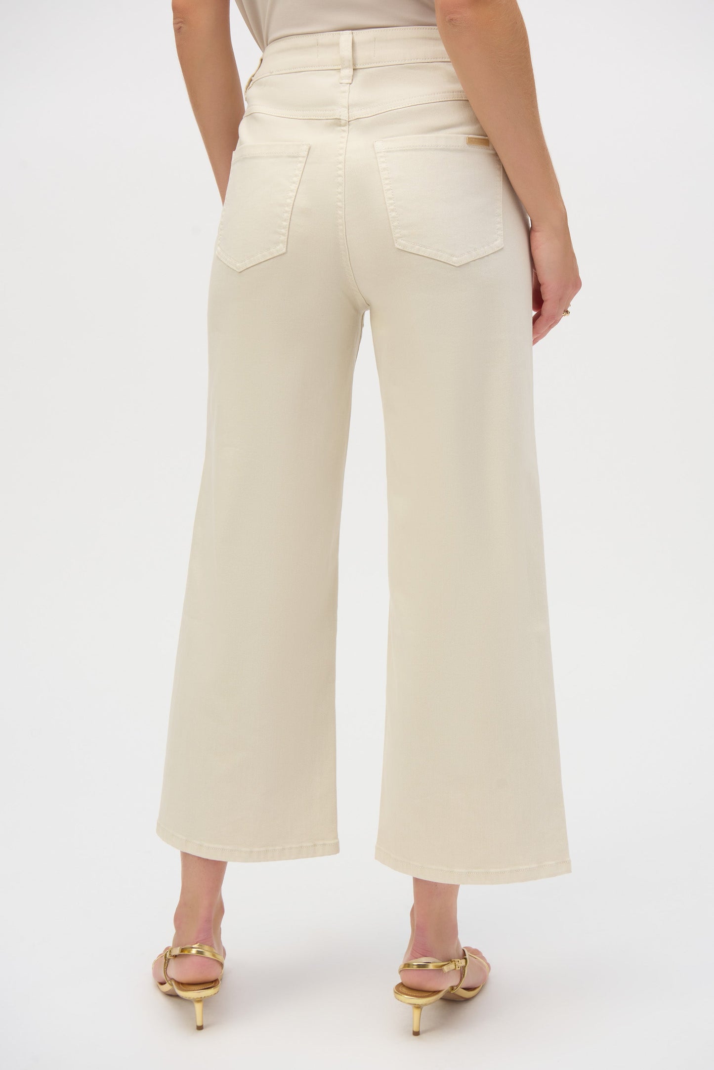 Joseph Ribkoff LDS Pant
252914
Greige