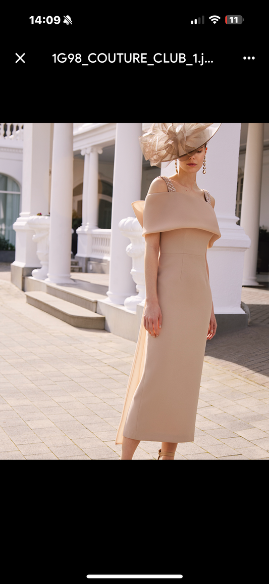 Mother of the bride and groom/special occasion