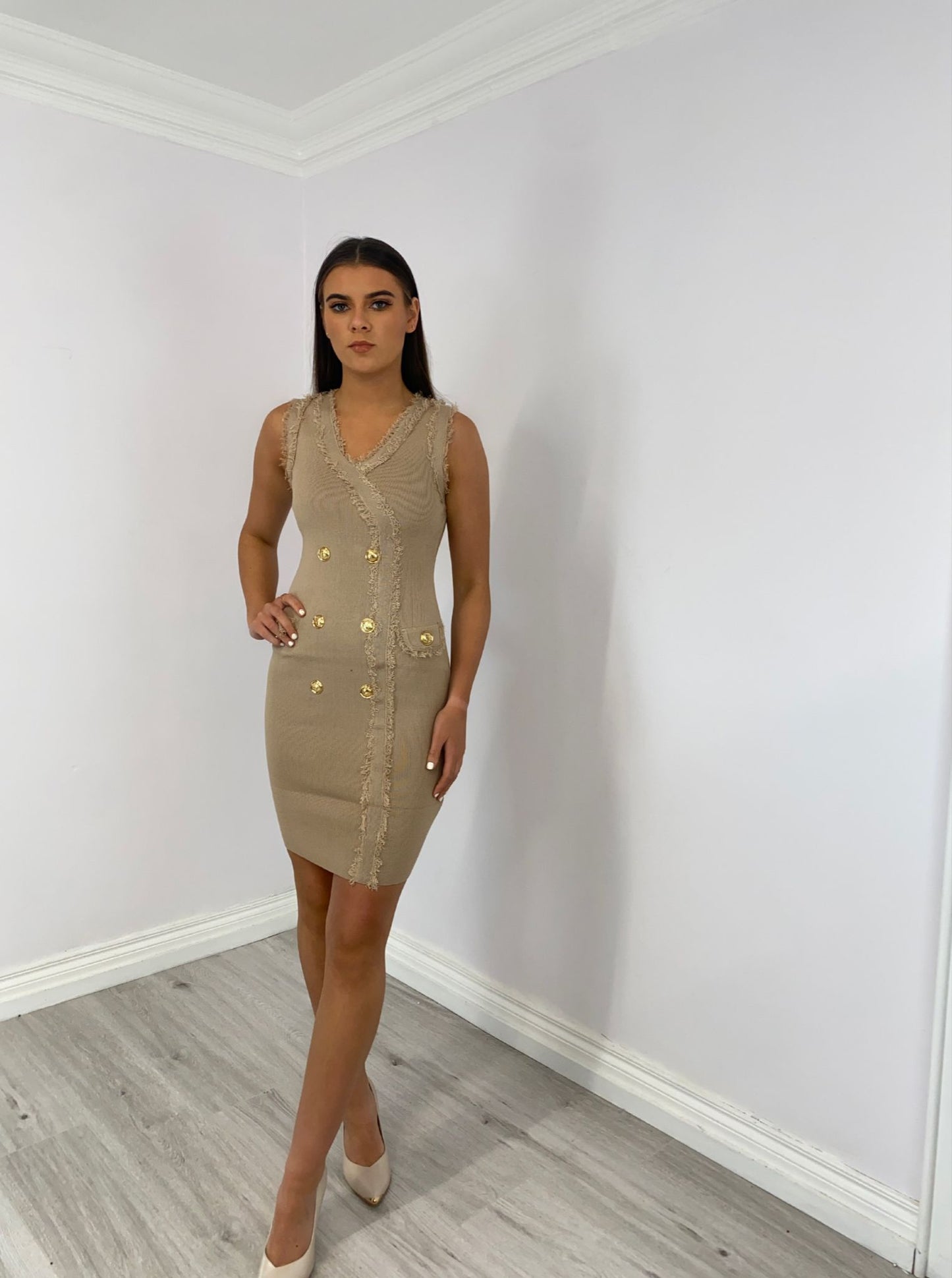 Sylvie nude dress