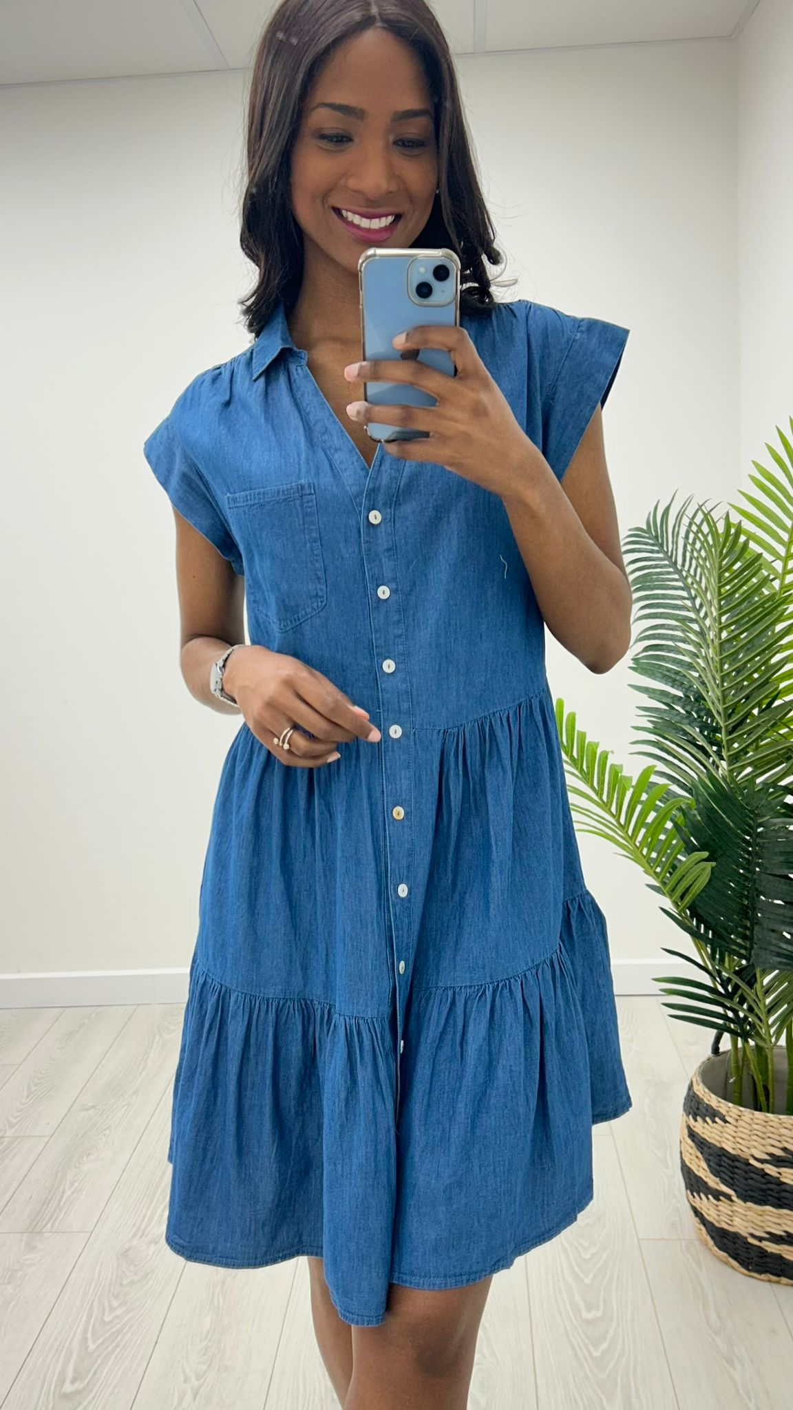 Darwin denim style dress