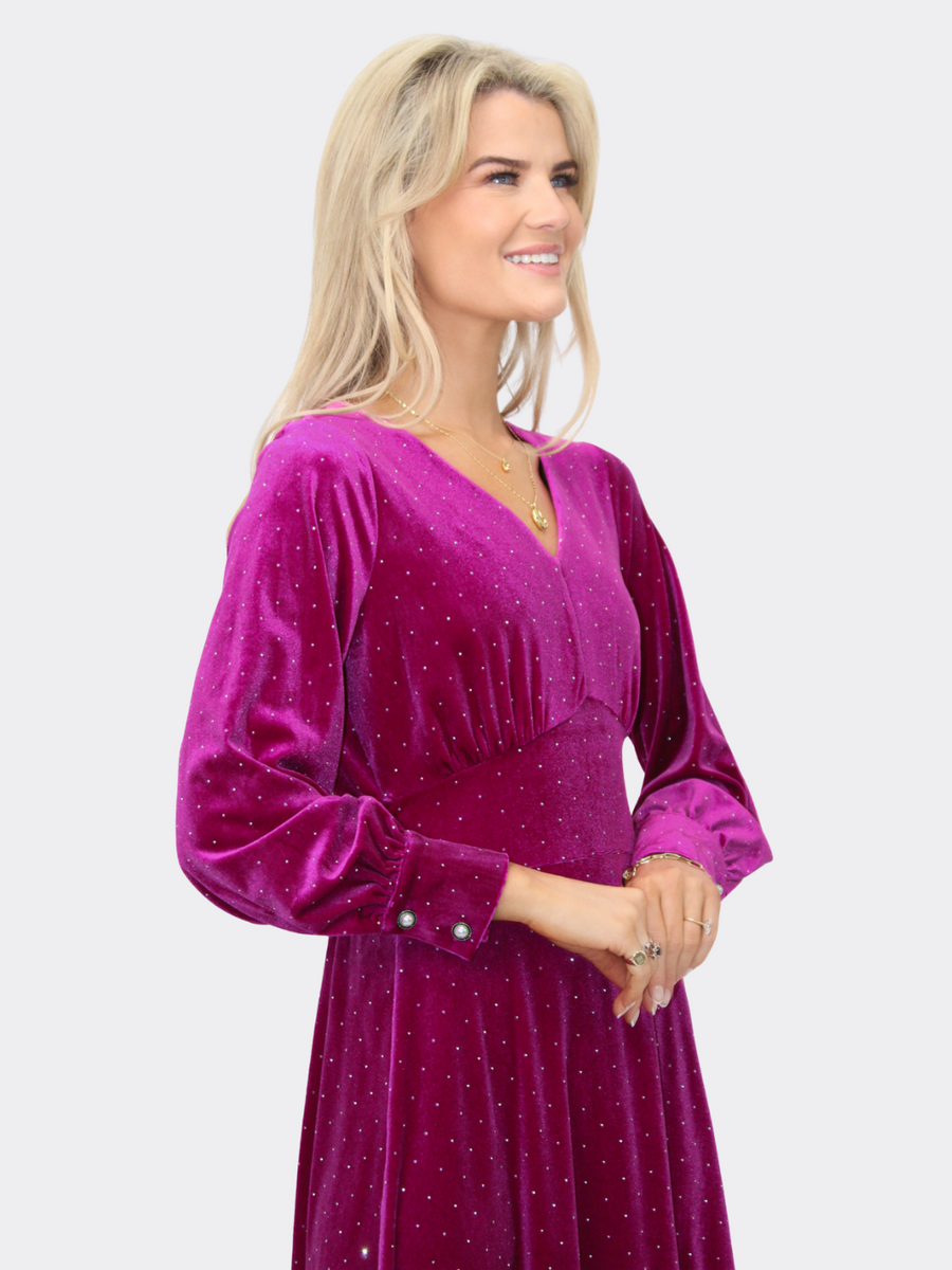 Ellen velvet dress