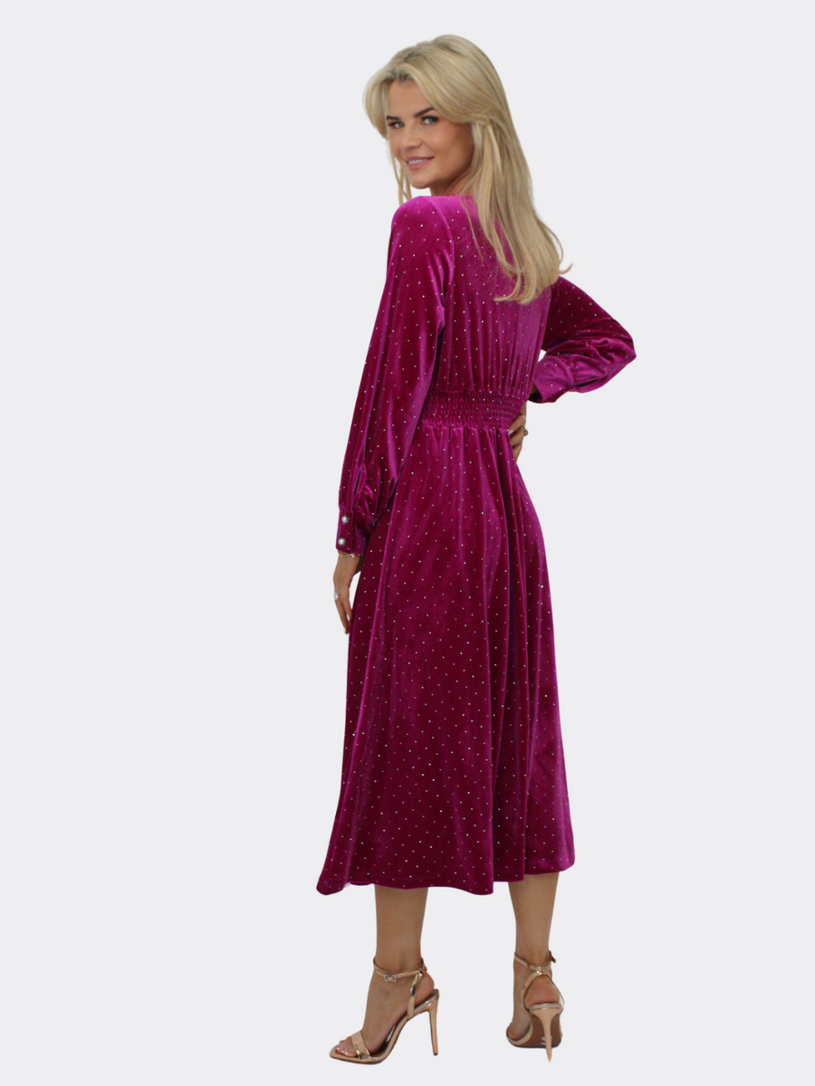 Ellen velvet dress