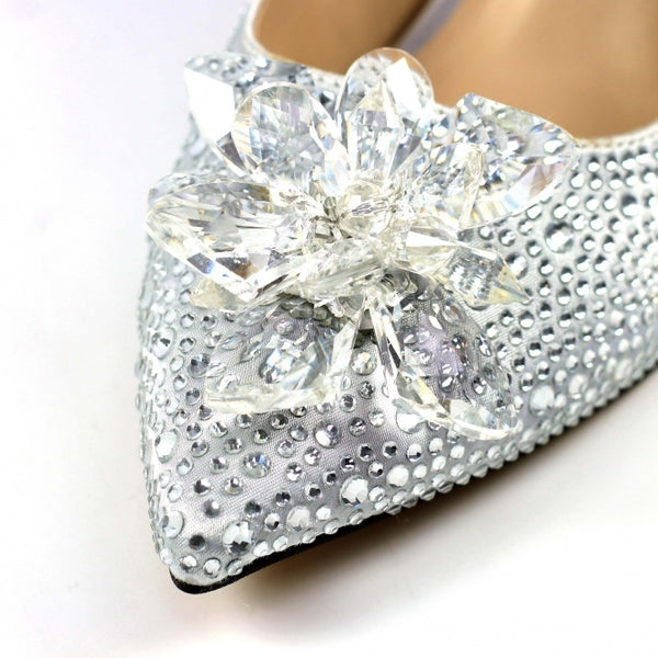 Regal silver shoe